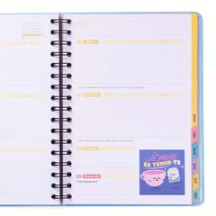 Agenda escolar Mr. Wonderful Wonder setm/vista cat 2025-26 És hora d'aconseguir-ho