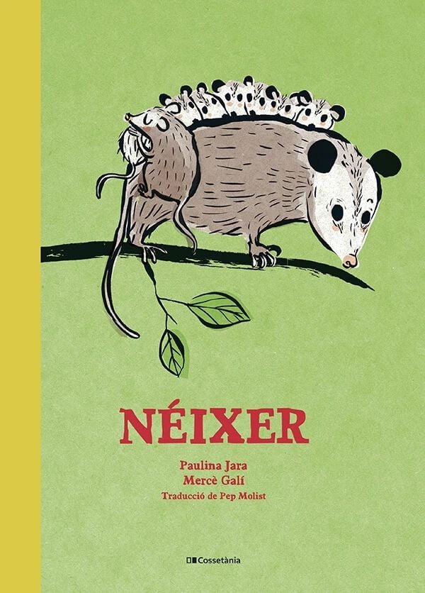 N&eacute;ixer