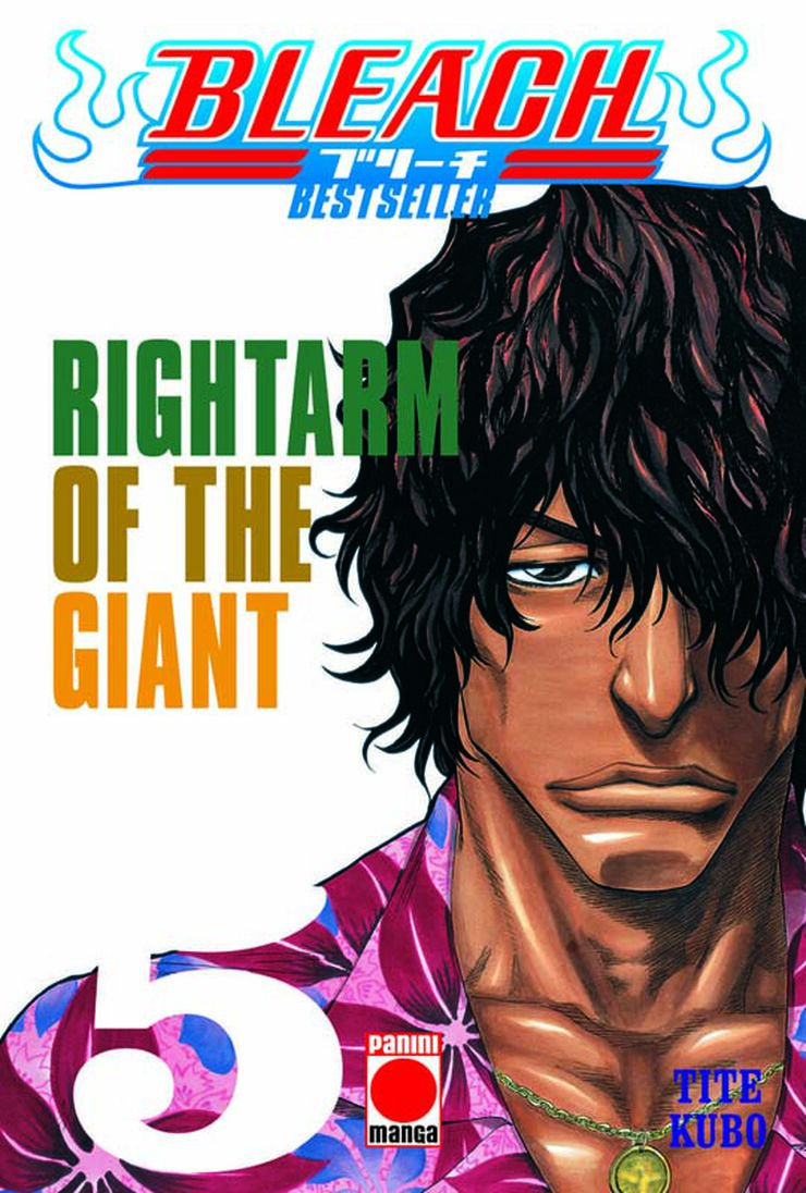 Bleach (Bestseller) N.5. Rightarm of the