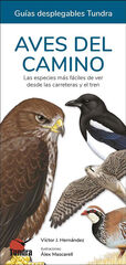Aves del camino. Las especies más fáciles de ver desde las carreteras y el tren Aves del camino. Las especies más fáciles de ver desde las carreteras y el tren