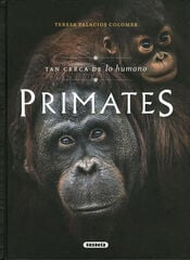 Primates. Tan cerca de lo humano Primates. Tan cerca de lo humano