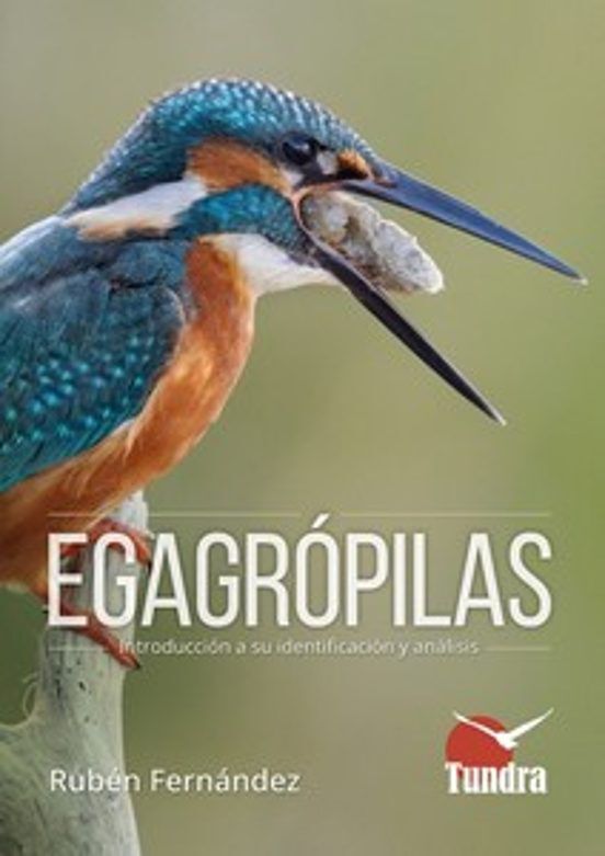 Egagr&oacute;pilas. Introducci&oacute;n a su identificaci&oacute;n y an&aacute;lisis