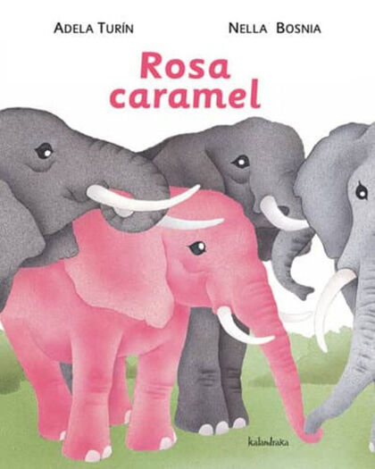 Rosa caramel - Abacus Online
