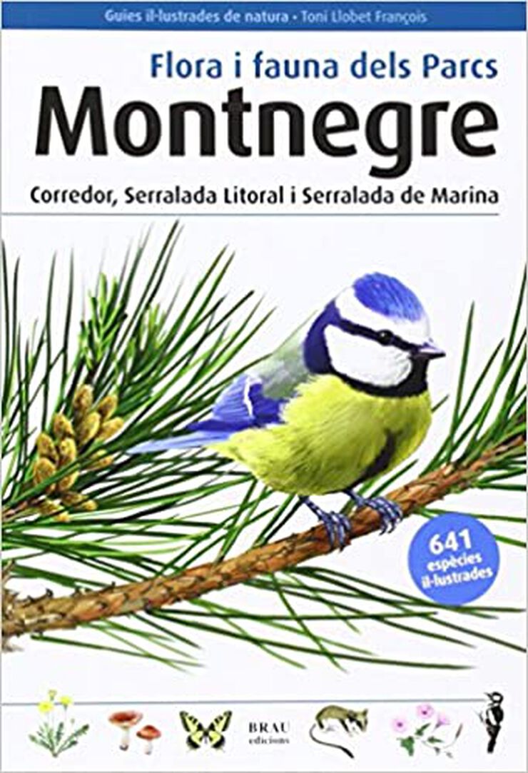 Flora i fauna dels Parcs Montnegre Corredor, Serralada Litoral i Serralada de Marina