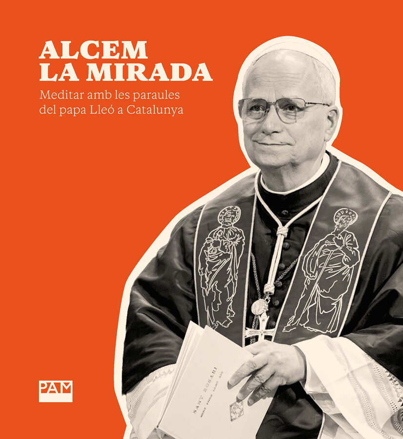Alcem la mirada