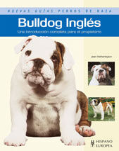 Bulldog ingl&eacute;s