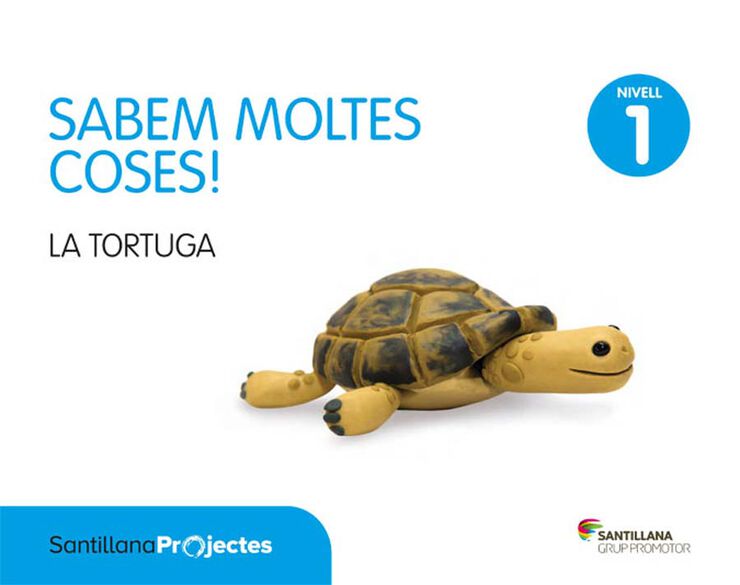 Tortuga Sabem Infantil 3 anys