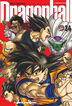 Dragon ball 34