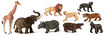 Animals de la selva 9 unitats