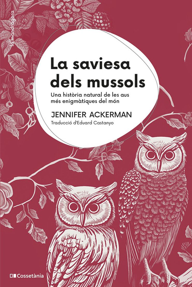 La saviesa dels mussols