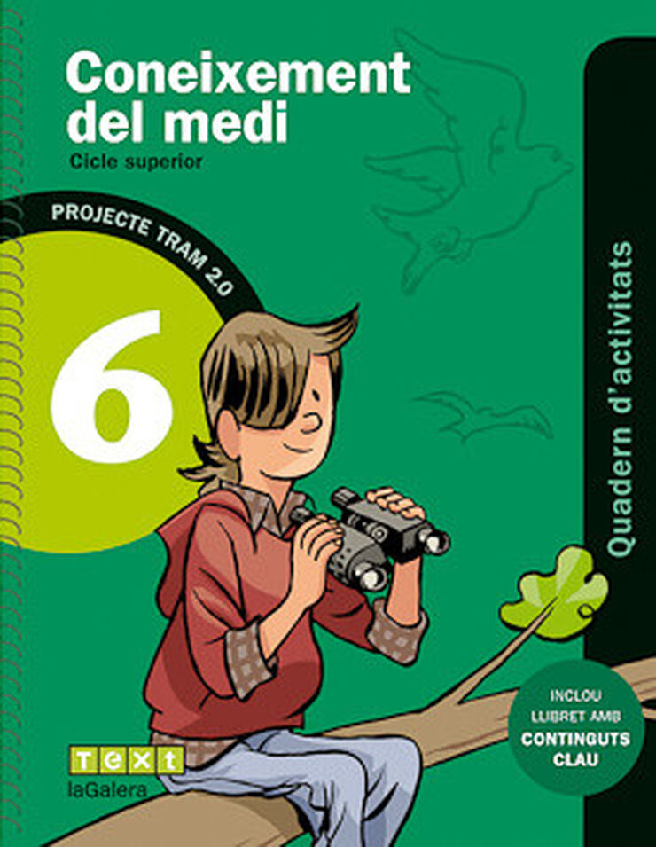 Medi 6 Primria Activitats