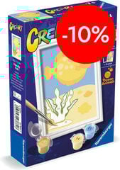 Creart Serie F Pececillo