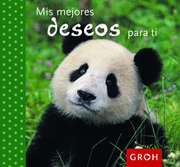 Mis mejores deseos para ti