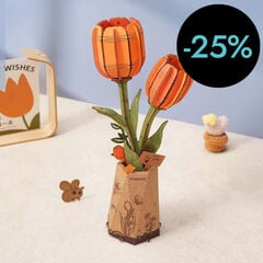 Maqueta Rolife Tulipá