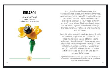 LEGO Botanicals Flores silvestres
