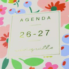 Agenda Escolar Moniquilla E10 | Dia per P&agrave;gina, Castell&agrave; (2026-2027) &ndash; Verd