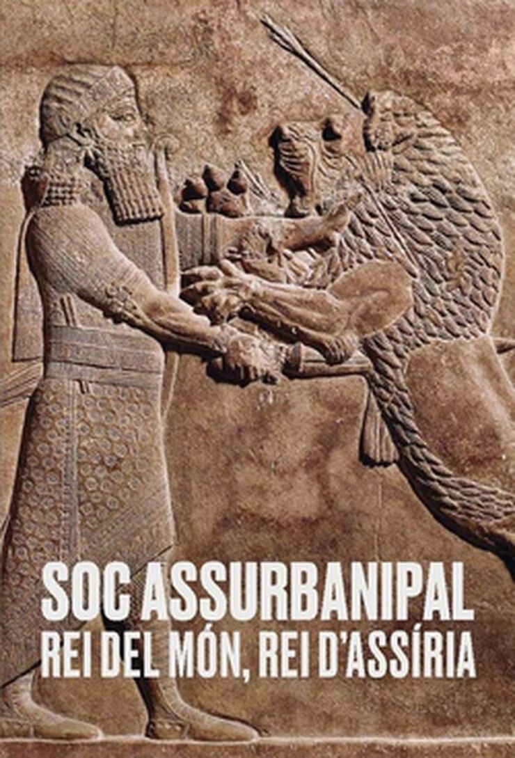 Soc Assurbanipal