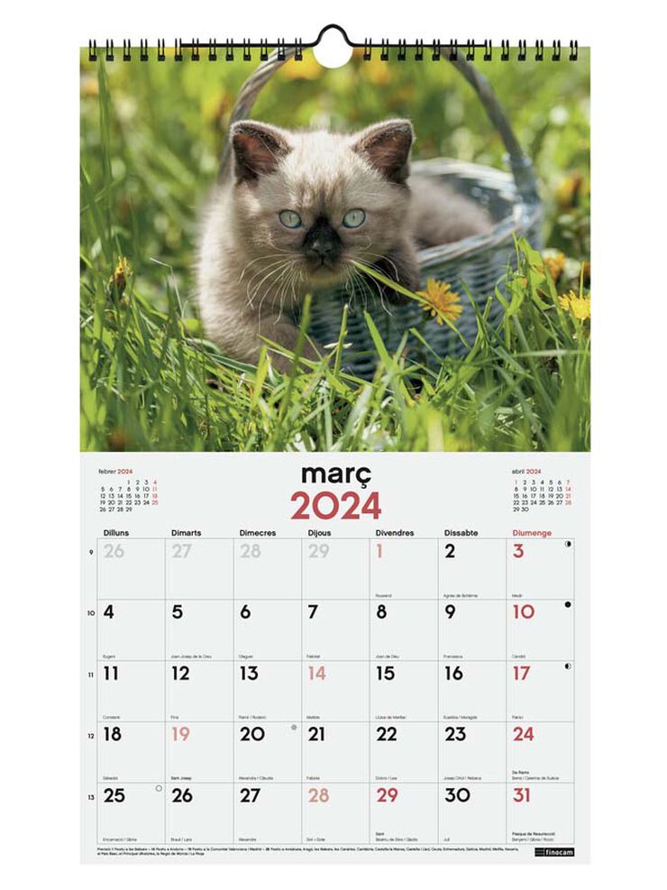 Calendario pared Finocam Esp 25X40 2024 Gatitos cat
