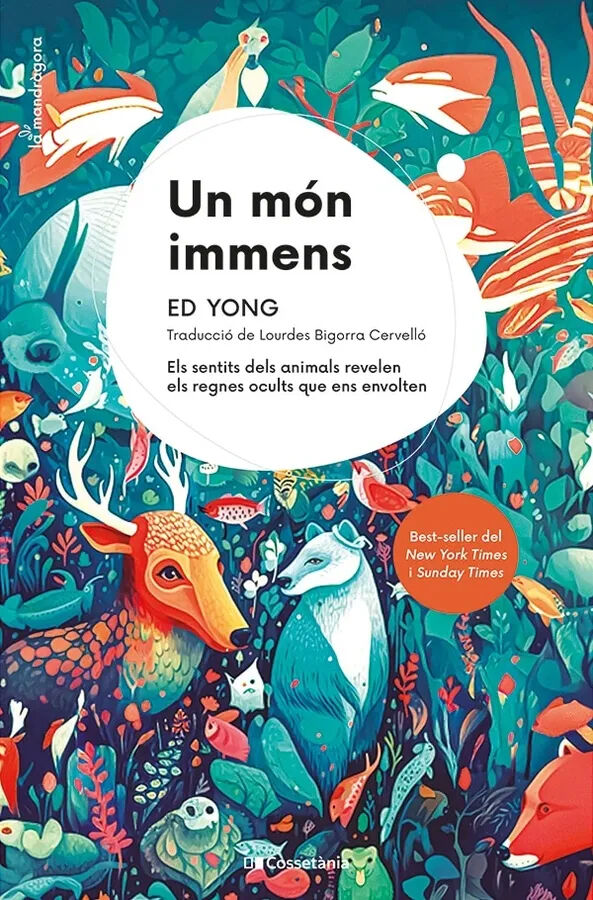 Un m&oacute;n immens