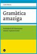 Gramàtica amaziga