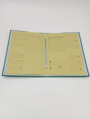 Carpeta clasificadora forrada Soldaplastic verde