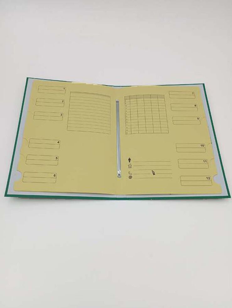Carpeta clasificadora forrada Soldaplastic verde