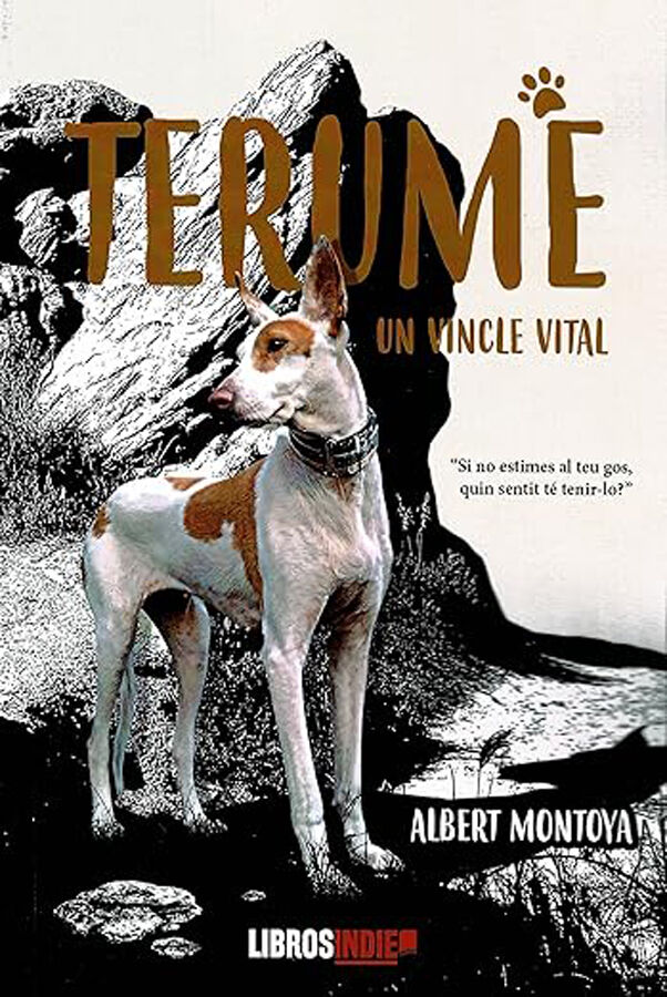 Terume. Un vincle vital