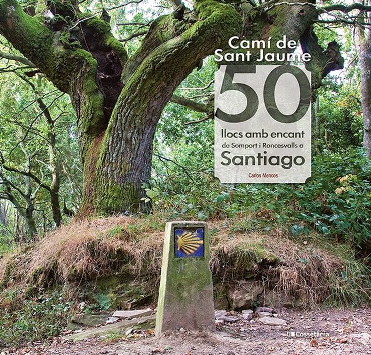 Camí de Sant Jaume: 50 llocs amb encant de Somport i Roncesvalles a Santiago