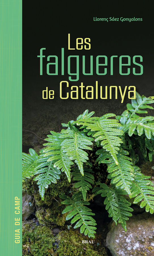 Les falgueres de Catalunya