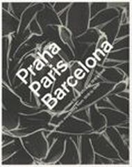 Josep Tapir&oacute;. Pintor de T&agrave;nger