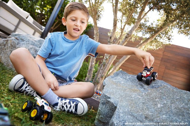 Hot Wheels Truck Básicos