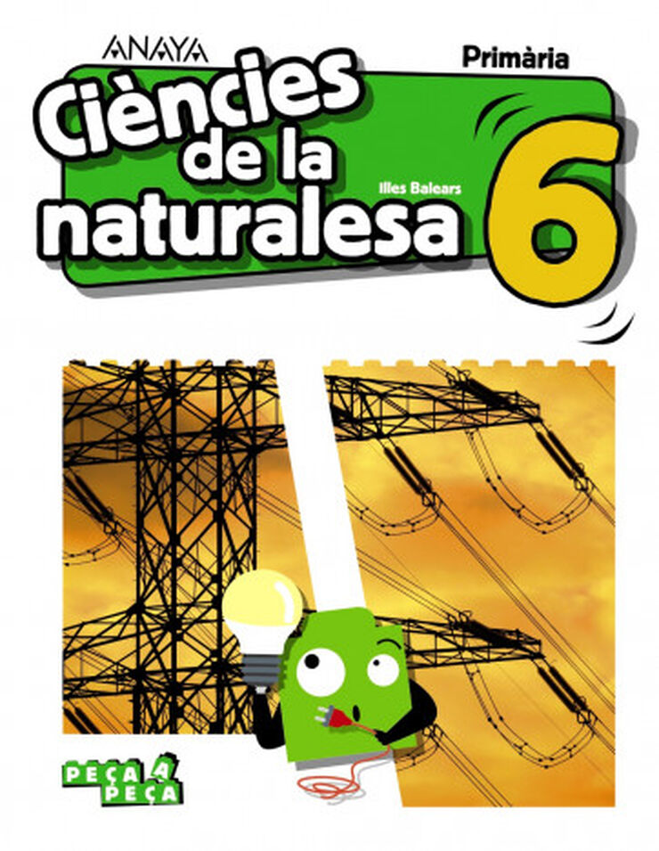 Cincies de la Naturalesa 6.