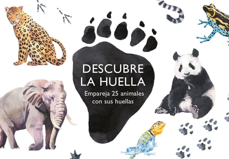 Descubre la huella