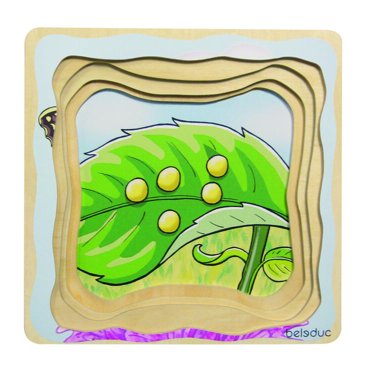 ENCAJE EVOLUTIVO MARIPOSA