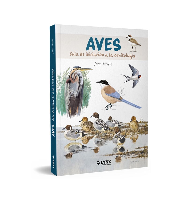 Aves