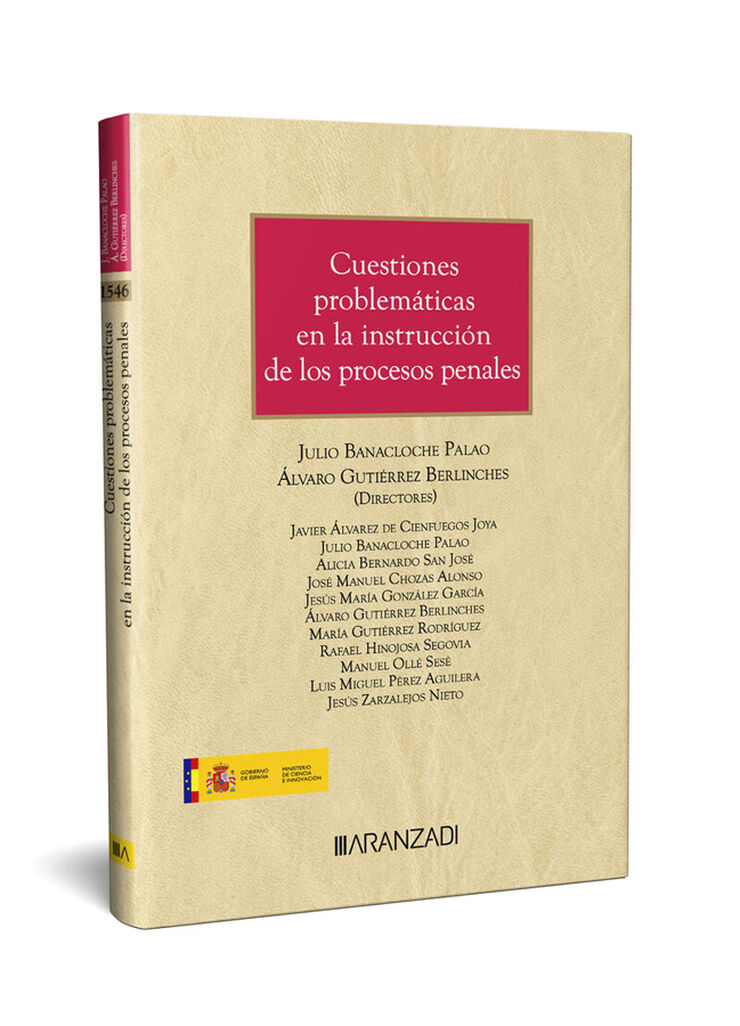 Cuestiones problemáticas en la instrucción de los procesos penales