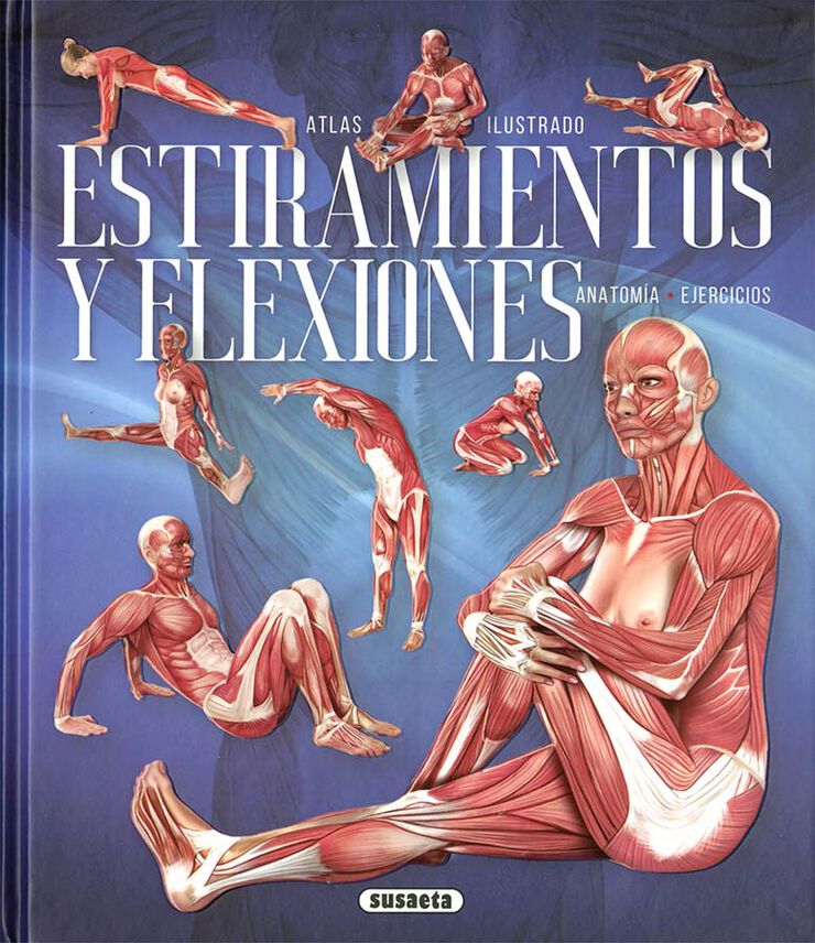 Estiramientos y flexiones