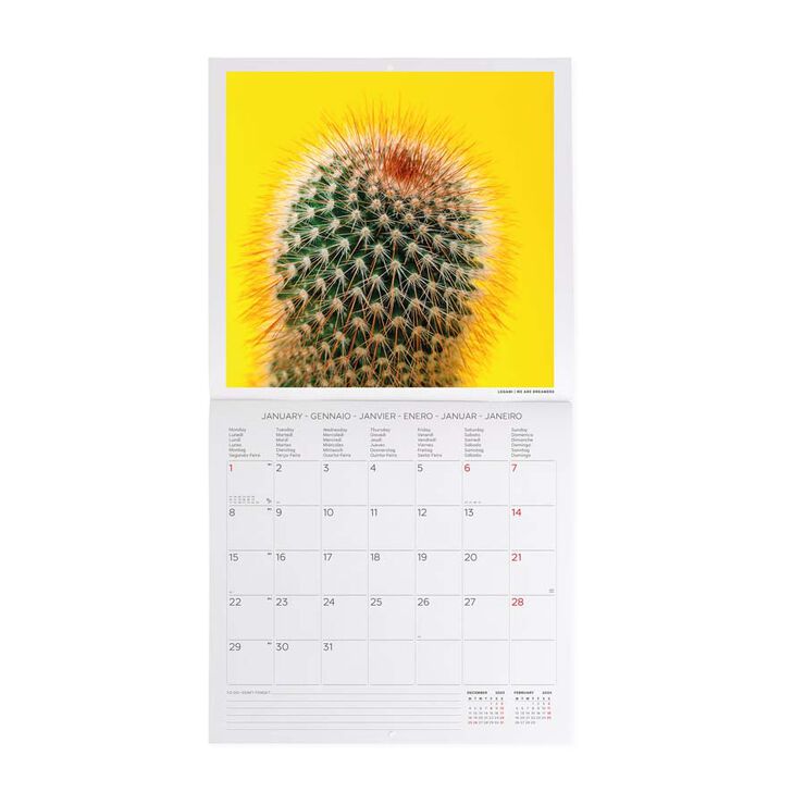 Calendari paret Legami 30X29 2024 Succulents
