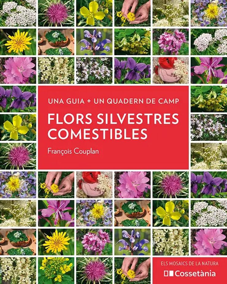 Flors silvestres comestibles