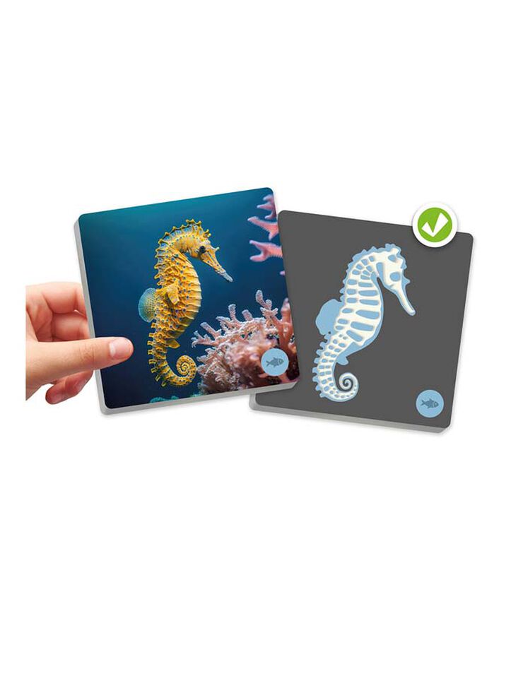 Maxi Memory Animals vertebrats i el seu esquelet