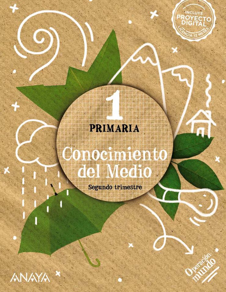 Conocimiento Del Medio 1. Cuadrcula.