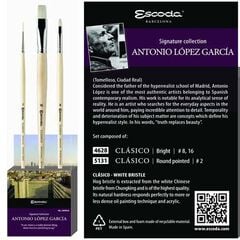 Set Pinceles Aceite/Acrílico Antonio López