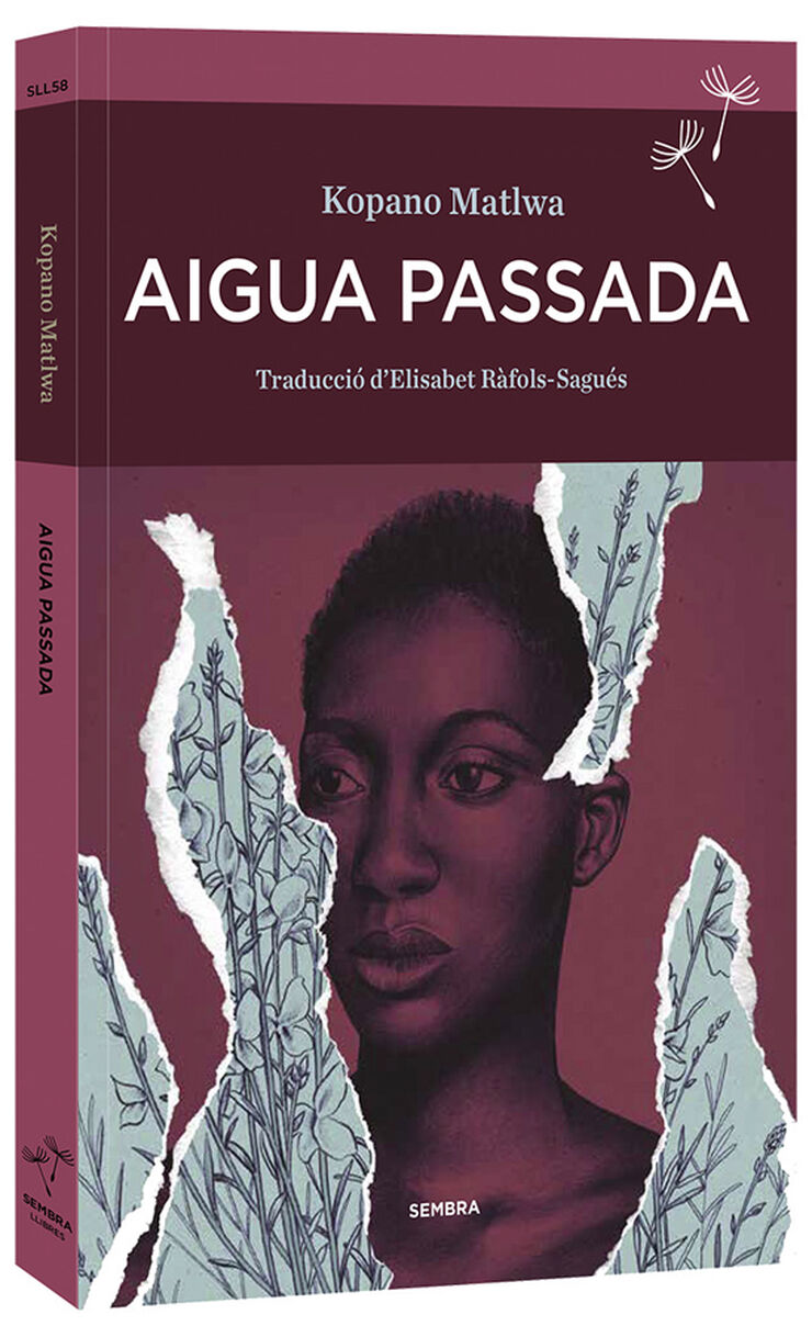 Aigua passada