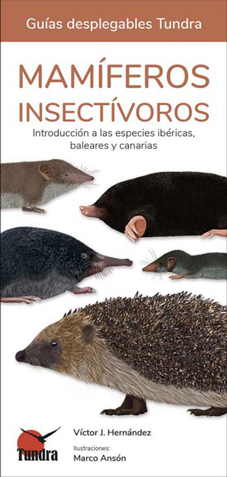 Mamíferos insectívoros. Introducción a las especies ibéricas, baleares y canarias