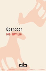 Opendoor Opendoor