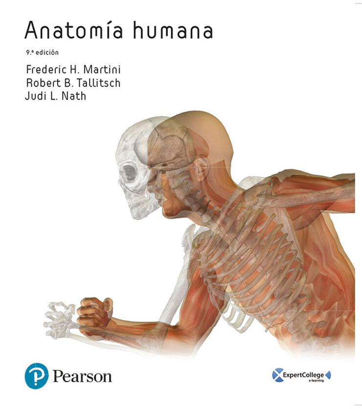 Anatom&iacute;a humana