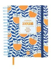 Agenda Finocam 16 mesos Vitae 1/4 setm/vista cat 2025-26 blau