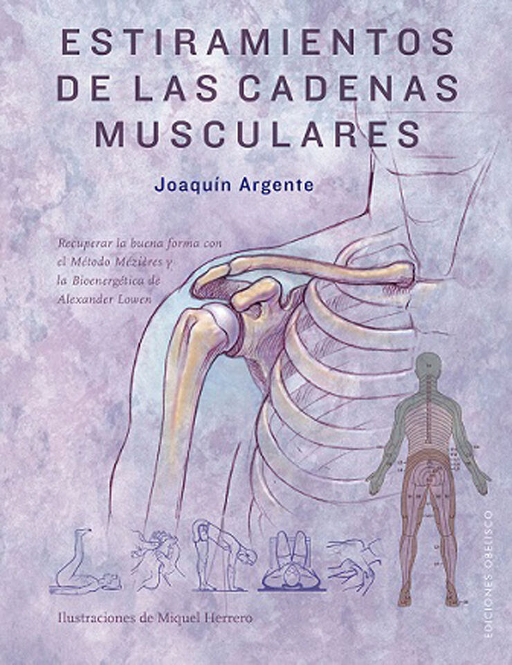 Estiramientos de las cadenas musculares