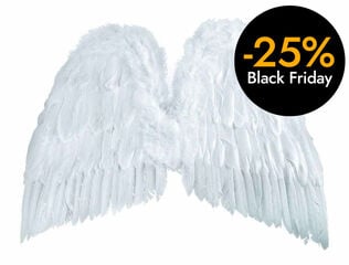 Alas Nowa Szkola Plumas