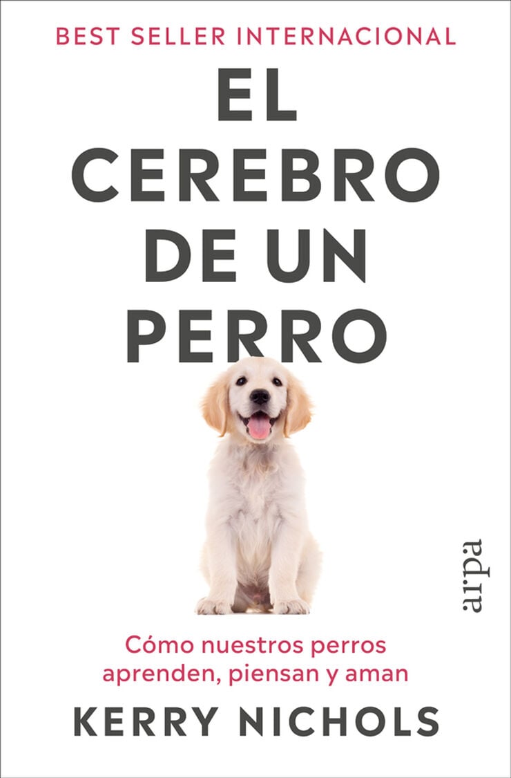 El cerebro de un perro